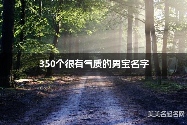 350个很有气质的男宝名字