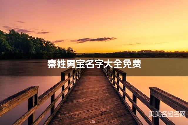 秦姓男宝名字大全免费 简单顺口好听的名字