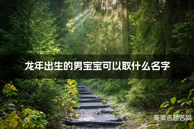 龙年出生的男宝宝可以取什么名字（有新意）