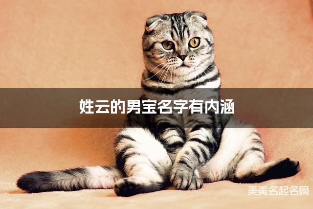 姓云的男宝名字有内涵