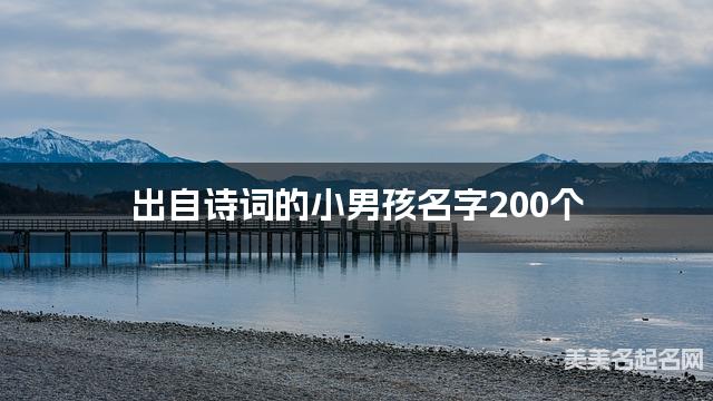 出自诗词的小男孩名字200个