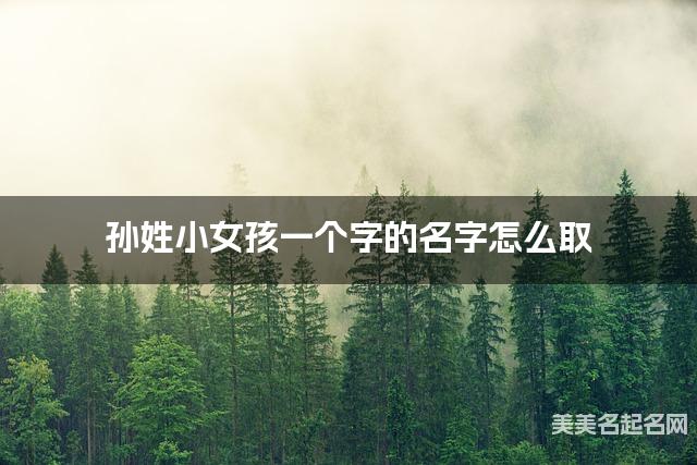 孙姓小女孩一个字的名字怎么取