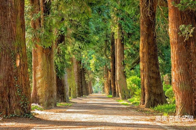 魏姓聪明有出息的男孩名字100分