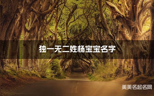 独一无二姓杨宝宝名字