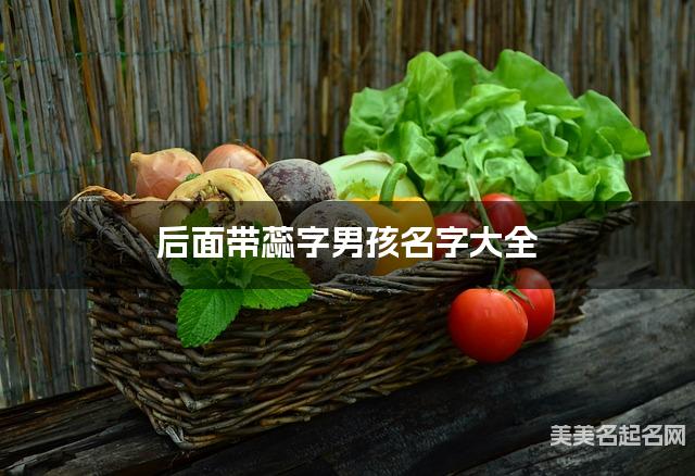 后面带蕊字男孩名字大全