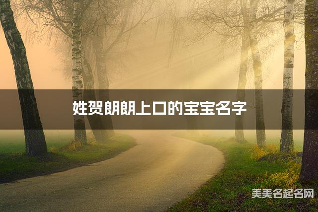 姓贺朗朗上口的宝宝名字