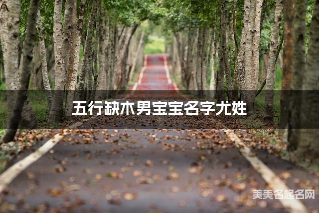 五行缺木男宝宝名字尤姓