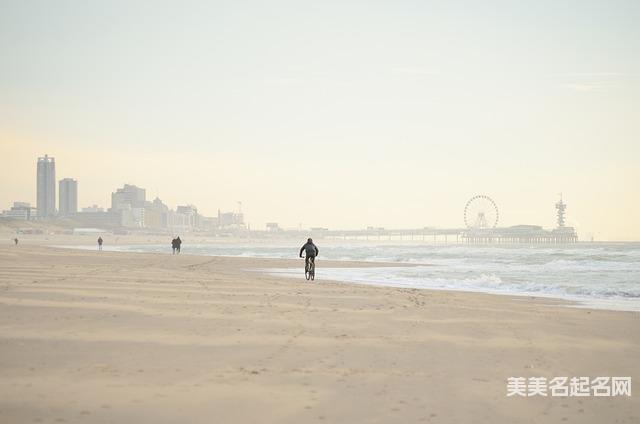 秦姓有文采典故的女生名字100分