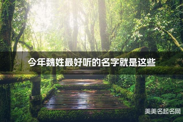今年魏姓最好听的名字就是这些，都是适合今年出生的小女孩名字