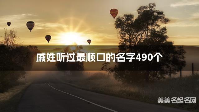 戚姓听过最顺口的名字490个