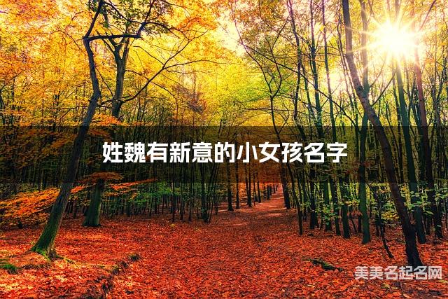 姓魏有新意的小女孩名字