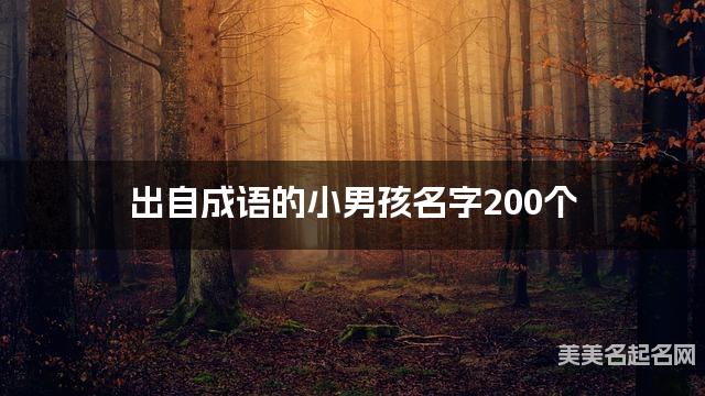 出自成语的小男孩名字200个