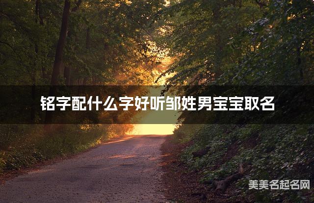 铭字配什么字好听邹姓男宝宝取名