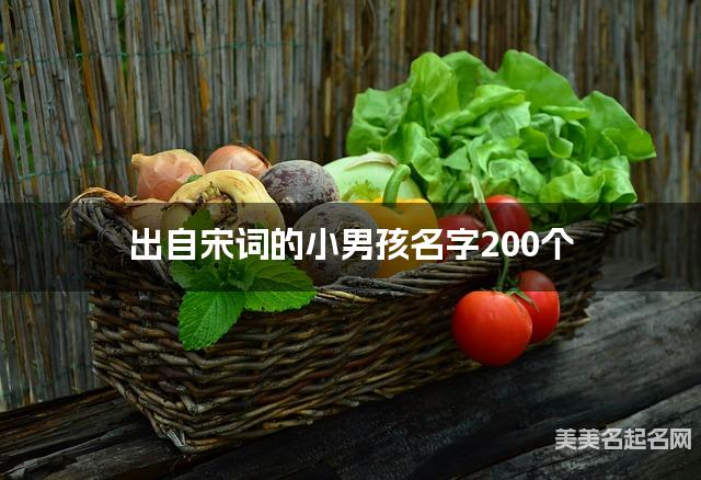 出自宋词的小男孩名字200个