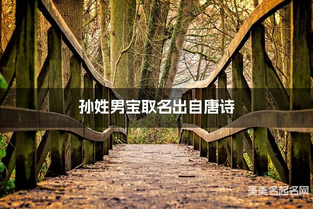 孙姓男宝取名出自唐诗