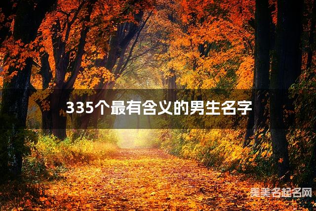 335个最有含义的男生名字 宝宝免费取名大全