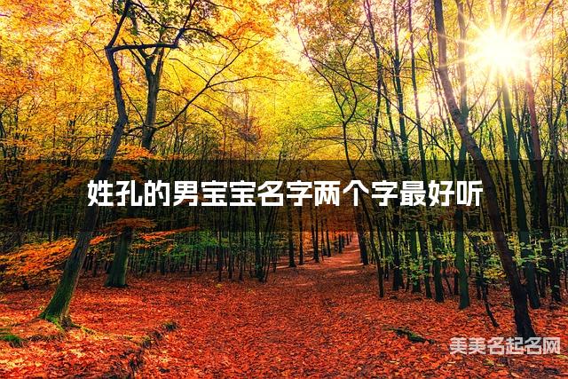 姓孔的男宝宝名字两个字最好听