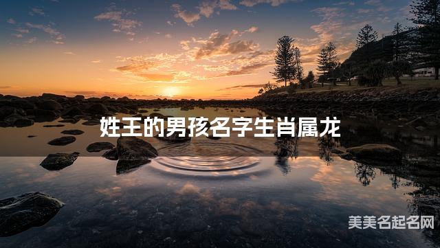 姓王的男孩名字生肖属龙