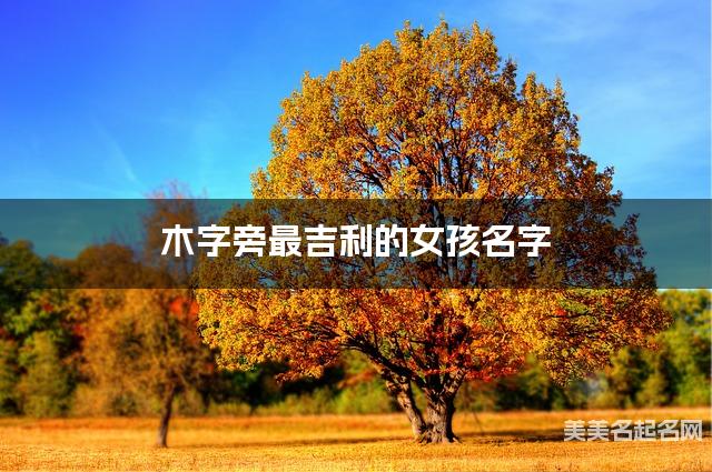 木字旁最吉利的女孩名字 张姓木字旁取名最有福气