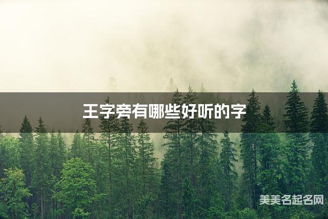 王字旁有哪些好听的字，王字旁的字男孩起名字
