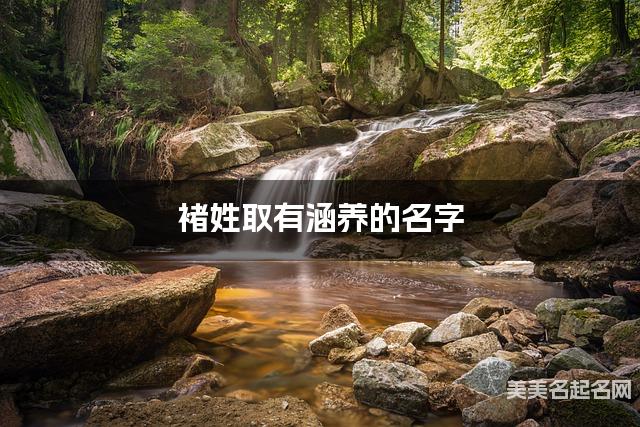 褚姓取有涵养的名字，褚姓男孩高端名字