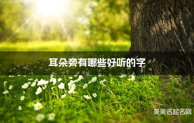 耳朵旁有哪些好听的字，耳朵旁的字男宝宝起名字