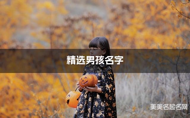 精选男孩名字，助您找到完美
