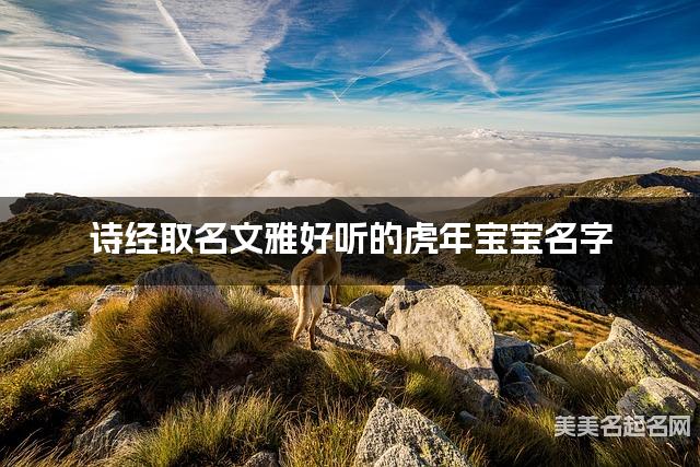 诗经取名文雅好听的虎年宝宝名字