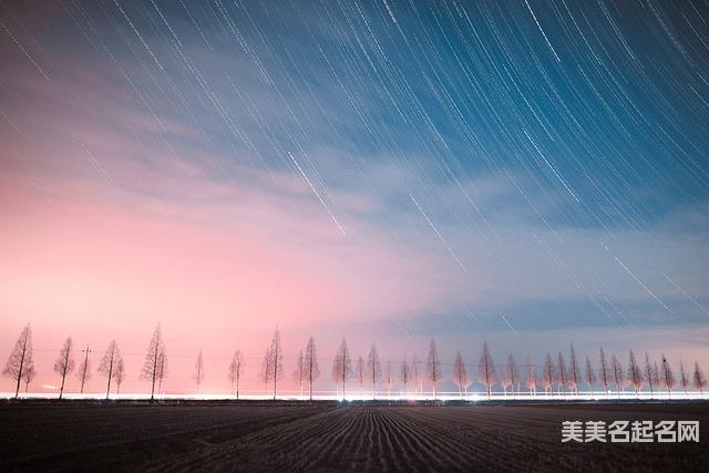 龙年宜用字:落落大方的龙年女宝宝名字大全