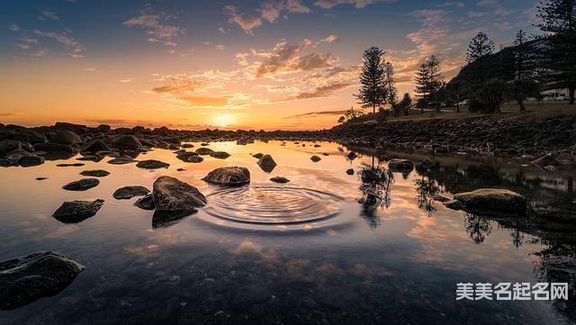 五行取名大全：2024精选带木的宝宝名字