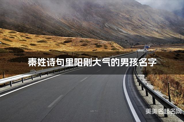 秦姓诗句里阳刚大气的男孩名字