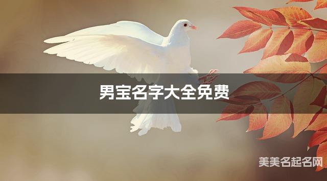男宝名字大全免费 清新脱俗的名字