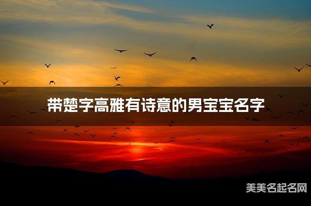 带楚字高雅有诗意的男宝宝名字 大气有新意