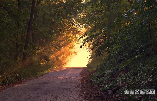 孔姓聪明有出息的男孩名字100分