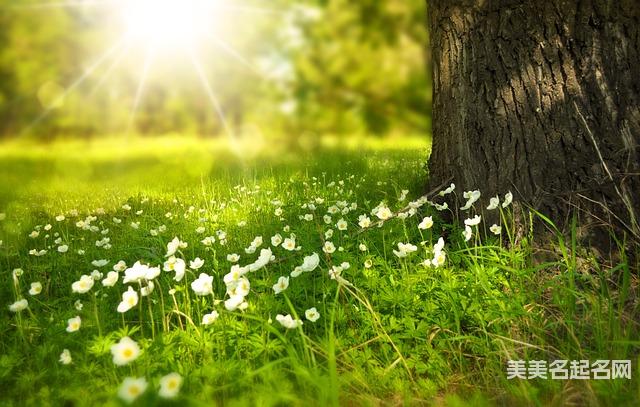 有内涵的两个字小男孩名字600个