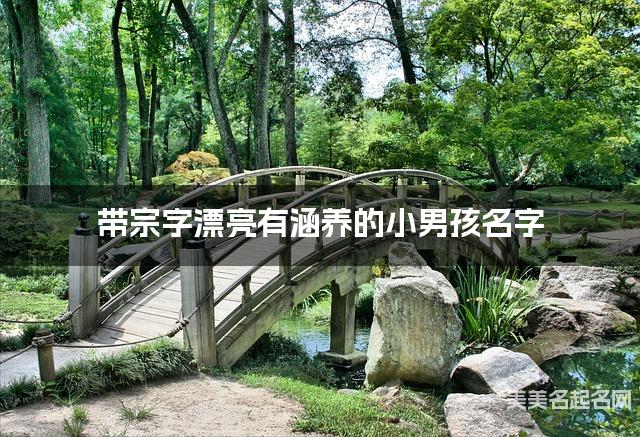 带宗字漂亮有涵养的小男孩名字 大气有新意