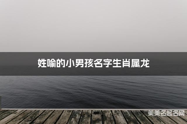 姓喻的小男孩名字生肖属龙 有含义的宝宝名字大全
