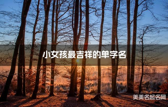 小女孩最吉祥的单字名  有诗意的宝宝单字名大全