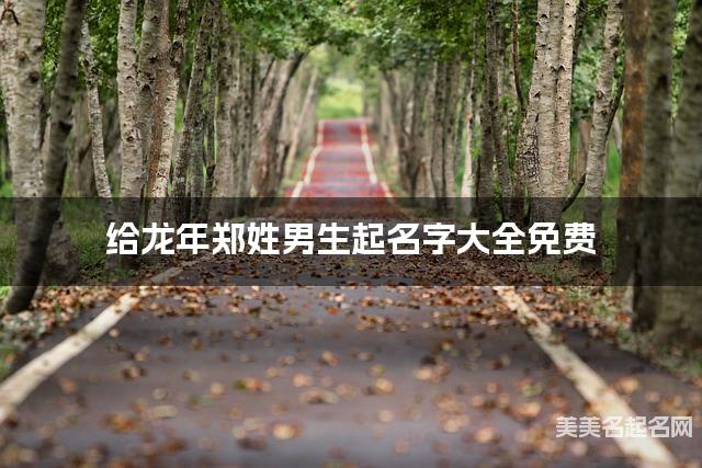 给龙年郑姓男生起名字大全免费 有新意的宝宝好名字