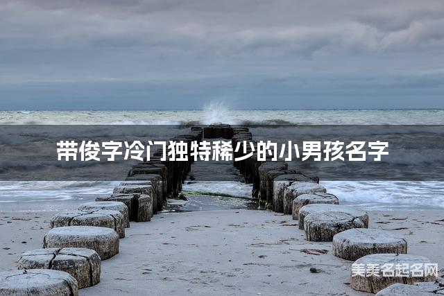 带俊字冷门独特稀少的小男孩名字 大气有含义 带俊字冷门独特稀少的小男孩名字 大气有含义