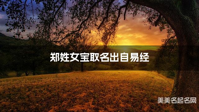 郑姓女宝取名出自易经