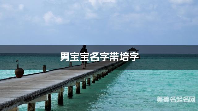 男宝宝名字带培字 独特新颖的男孩名字