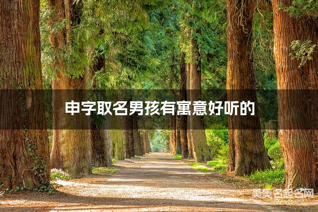 申字取名男孩有寓意好听的 申字取名男孩有寓意好听的