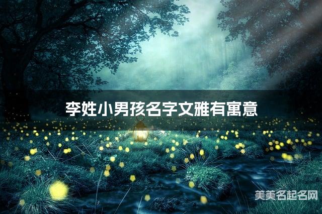 李姓小男孩名字文雅有寓意