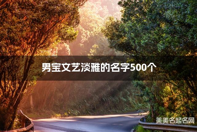 男宝文艺淡雅的名字500个