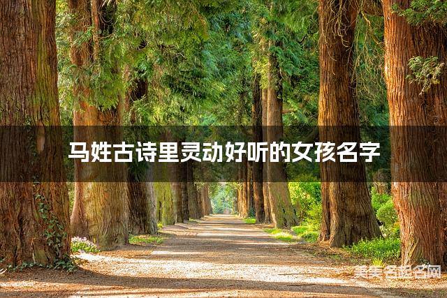 马姓古诗里灵动好听的女孩名字