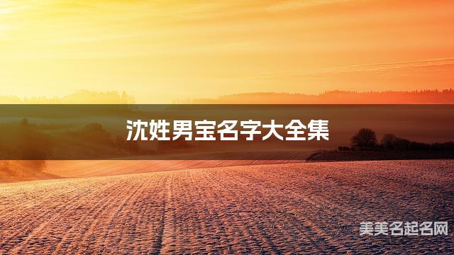 沈姓男宝名字大全集（简单顺口300个）
