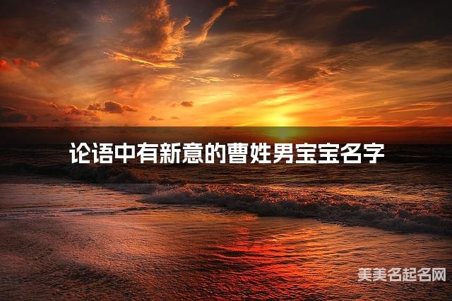 论语中有新意的曹姓男宝宝名字