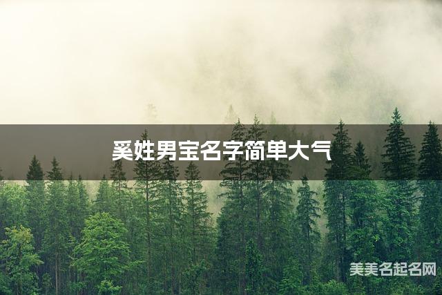 奚姓男宝名字简单大气