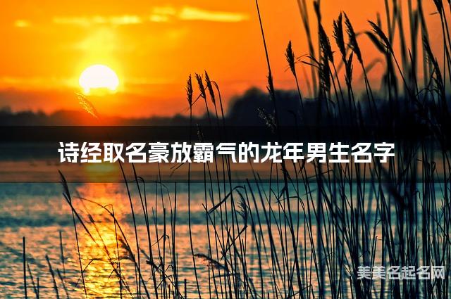 诗经取名豪放霸气的龙年男生名字